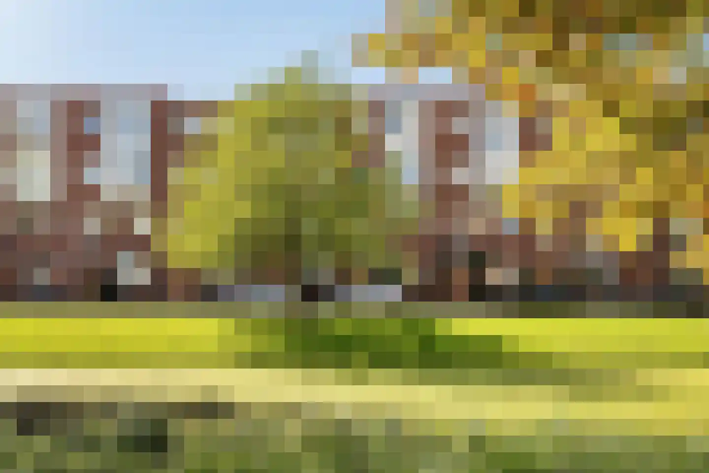 Bergsingel 33 D Rotterdam thumbnail 30
