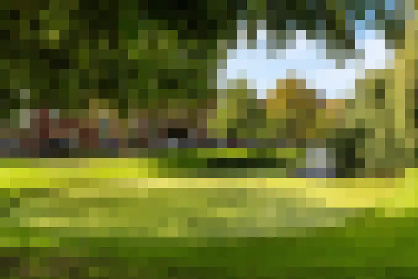 Bergsingel 33 D Rotterdam thumbnail 35