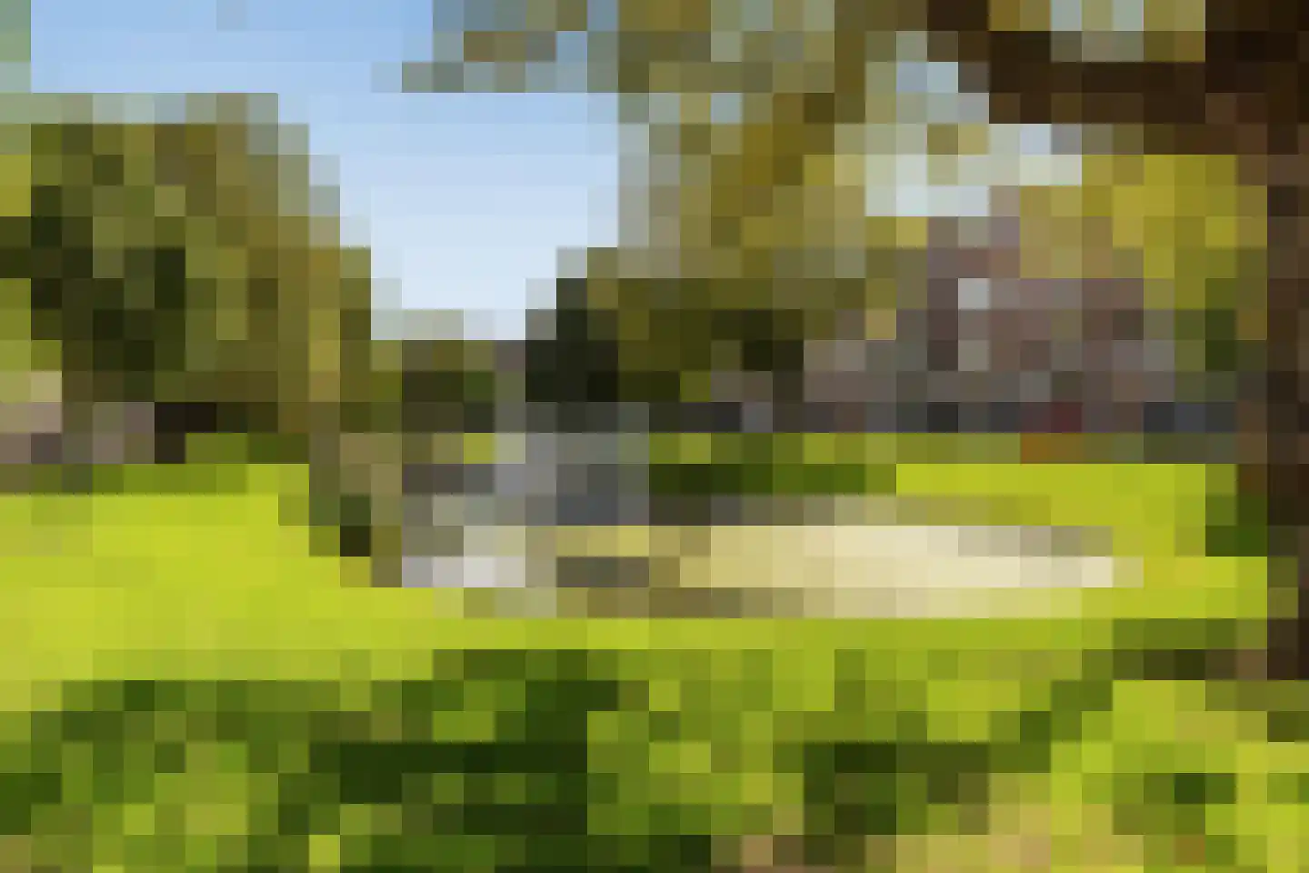 Bergsingel 33 D Rotterdam thumbnail 36
