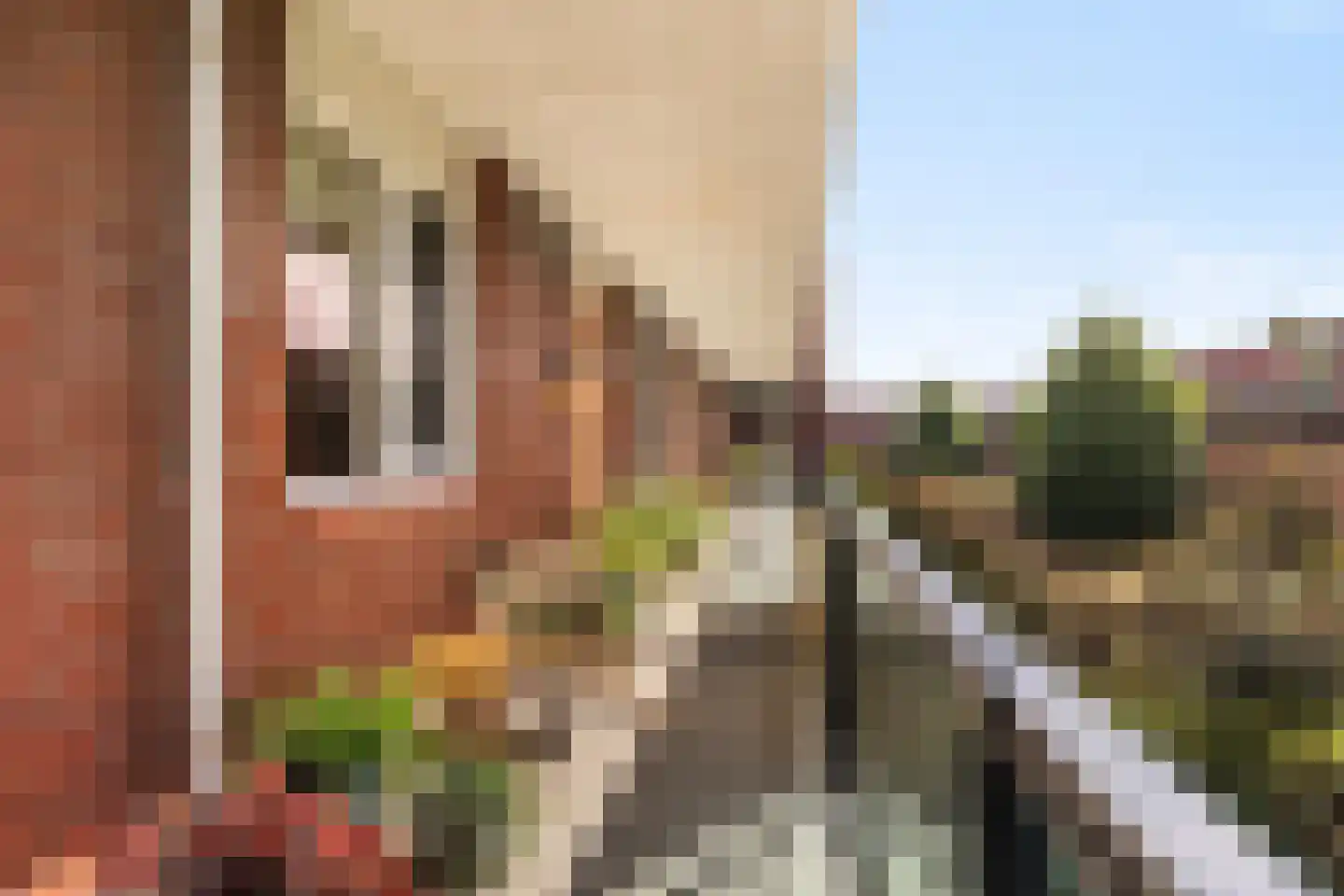 Bergsingel 33 D Rotterdam thumbnail 4