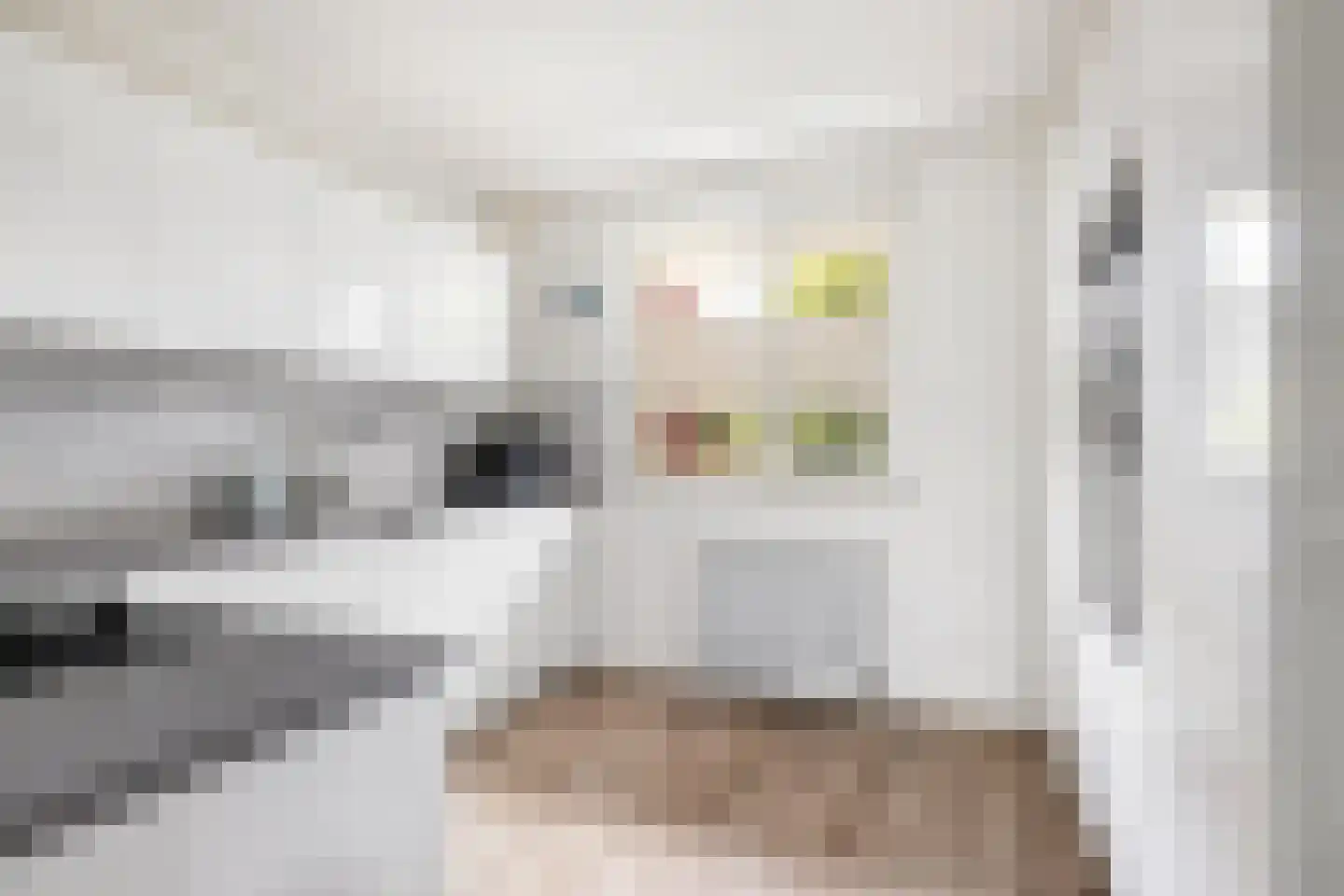 Bergsingel 33 D Rotterdam thumbnail 7
