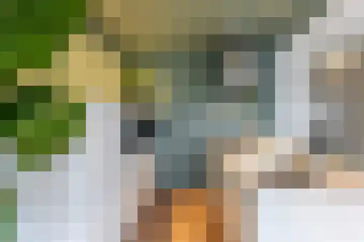 Bergsingel 51 B Rotterdam thumbnail 12