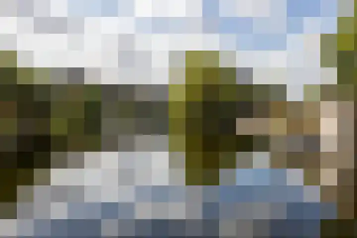 Bergsingel 8 Deventer thumbnail 5