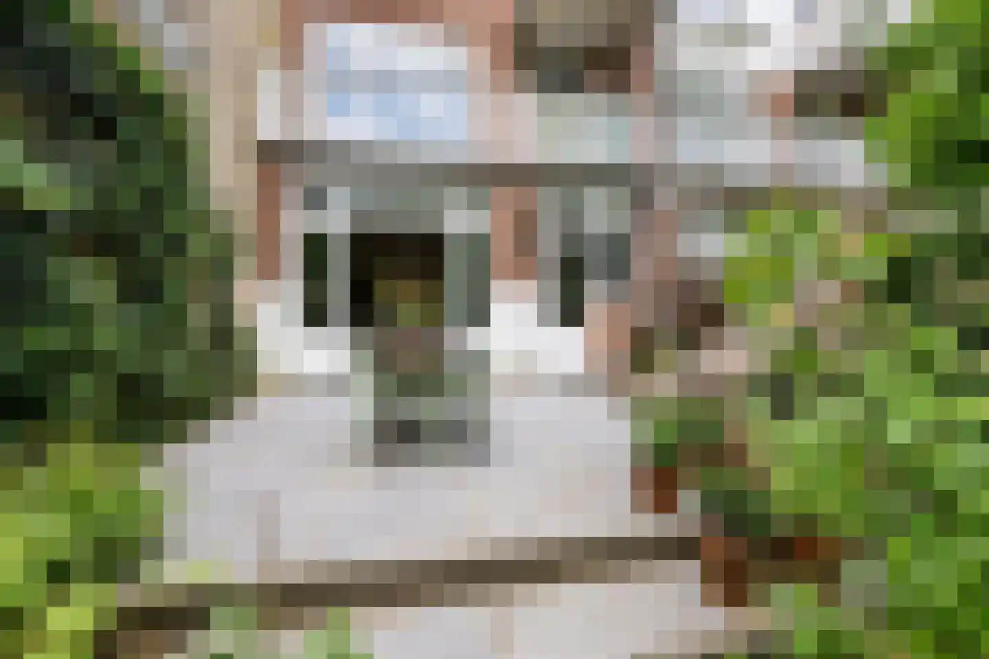 Bergsingel 80 B Rotterdam thumbnail 25