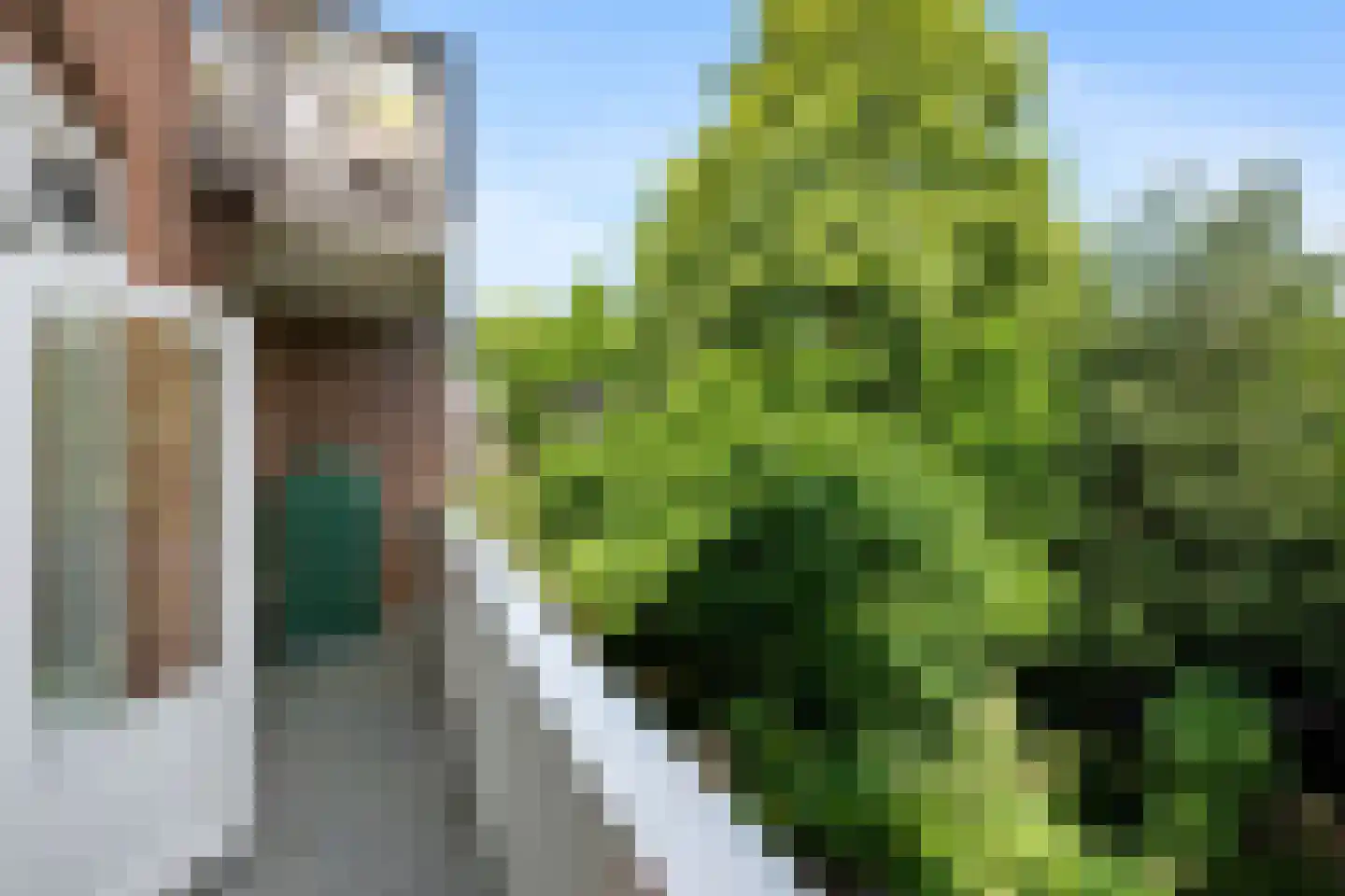 Bergsingel 80 B Rotterdam thumbnail 34