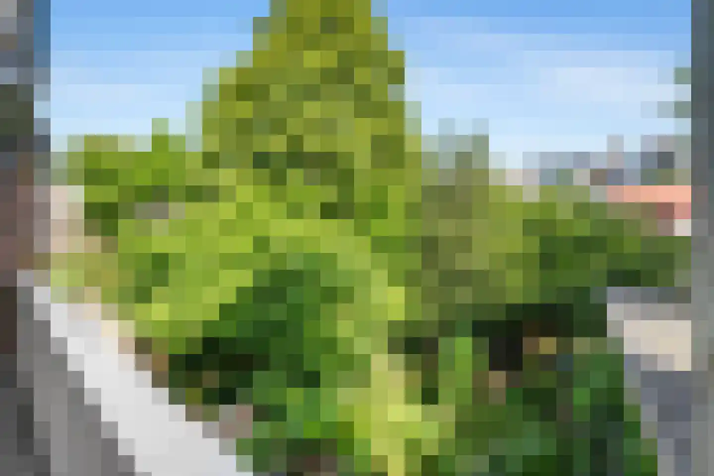 Bergsingel 80 B Rotterdam thumbnail 35