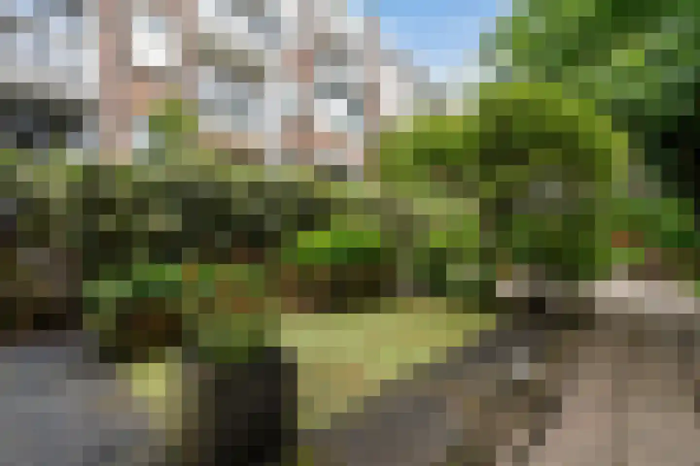 Bergsingel 96 B Rotterdam thumbnail 30