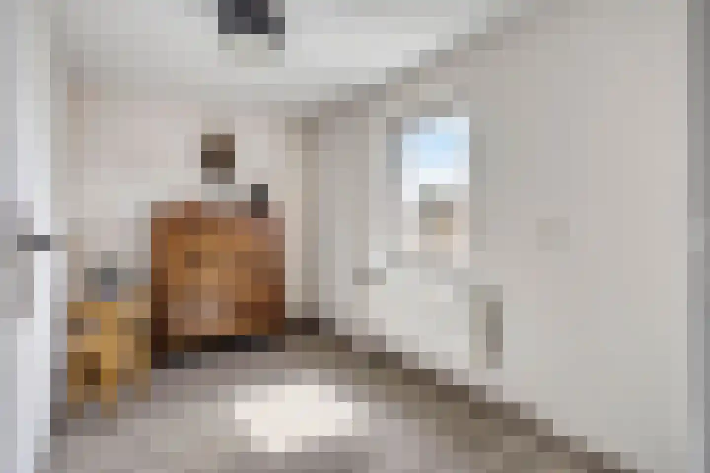 Bergslandstraat 10 Asten thumbnail 14