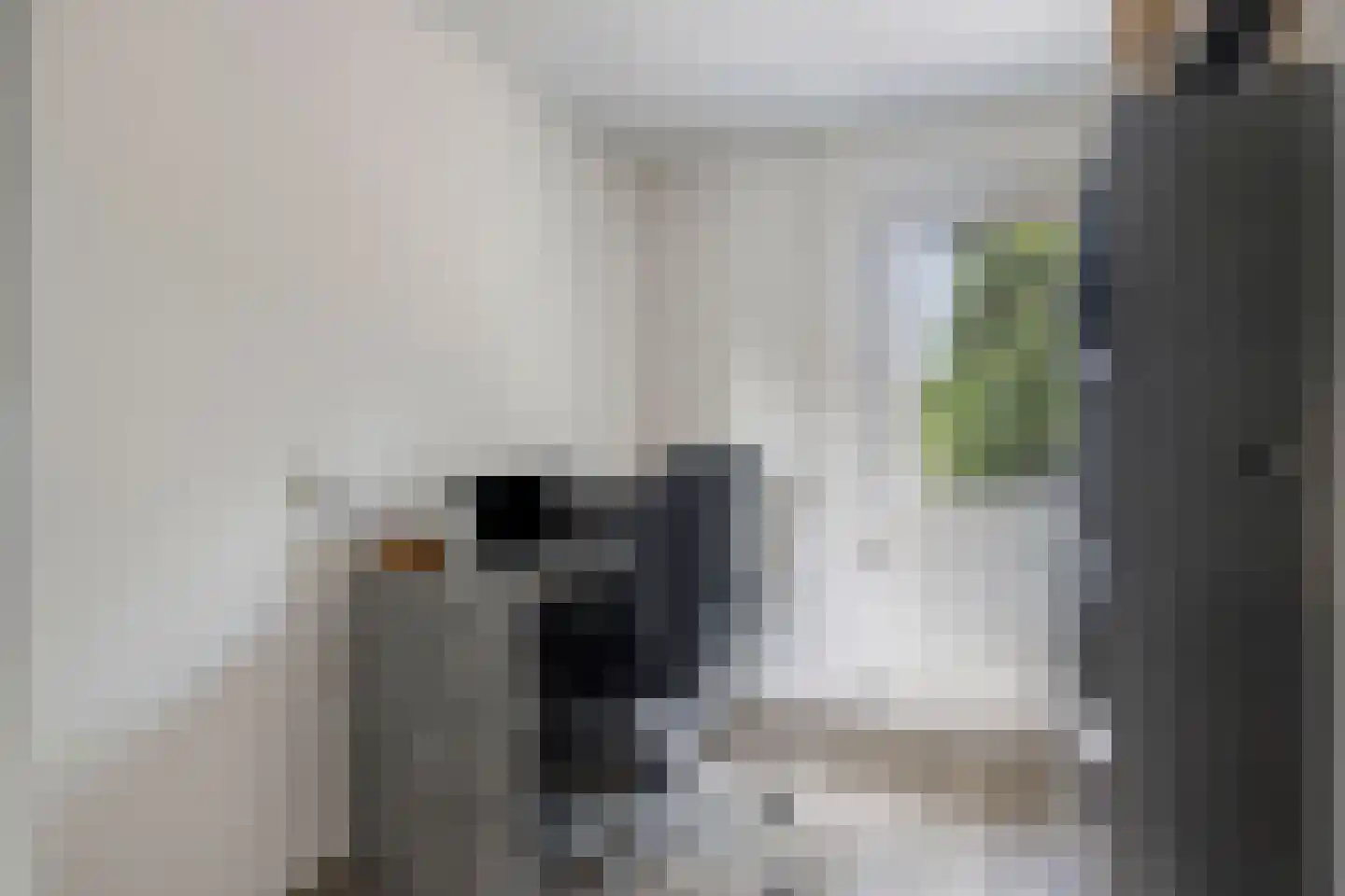 Bergslandstraat 10 Asten thumbnail 16