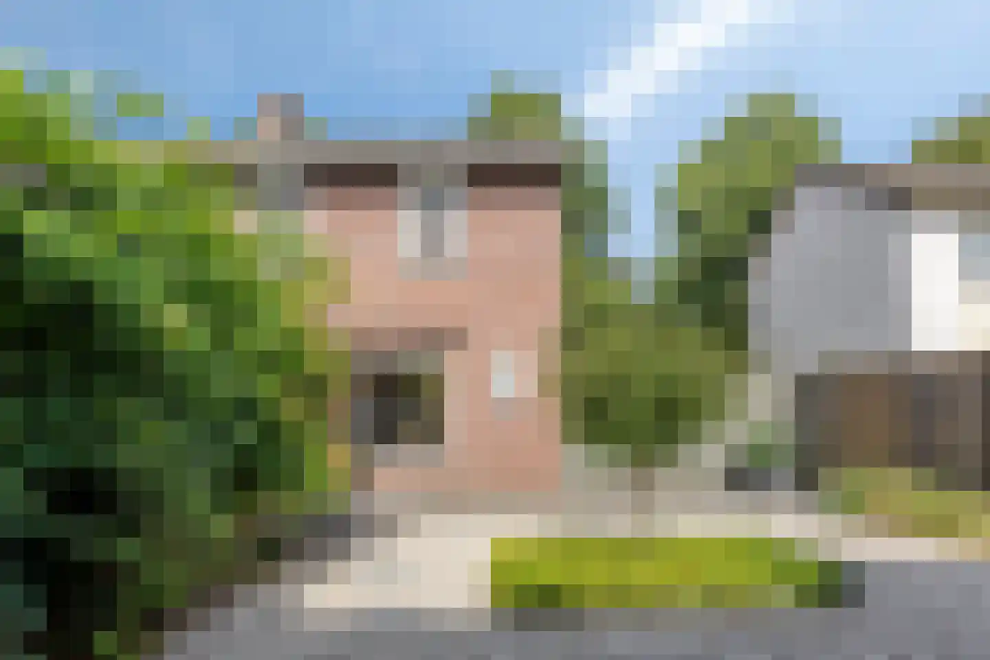 Bergslandstraat 10 Asten thumbnail 20