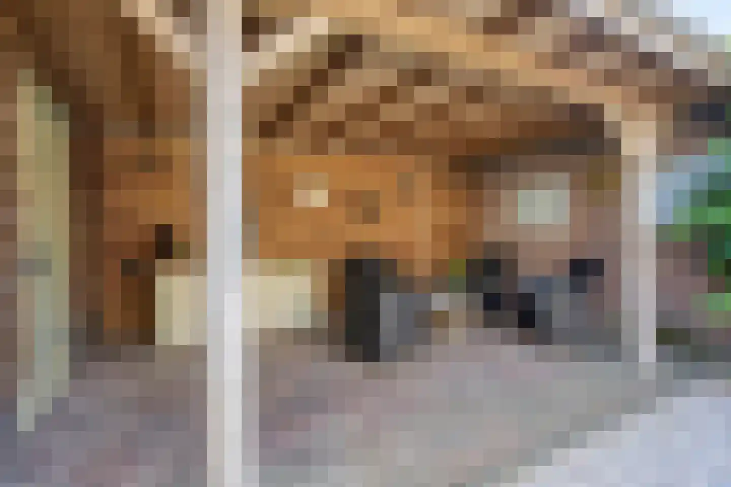 Bergslandstraat 10 Asten thumbnail 24