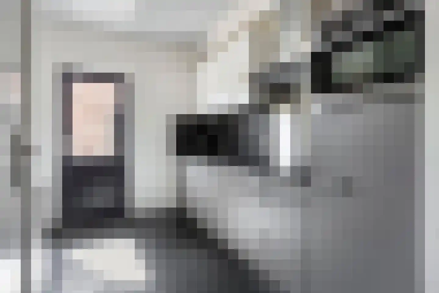 Bergslandstraat 10 Asten thumbnail 8