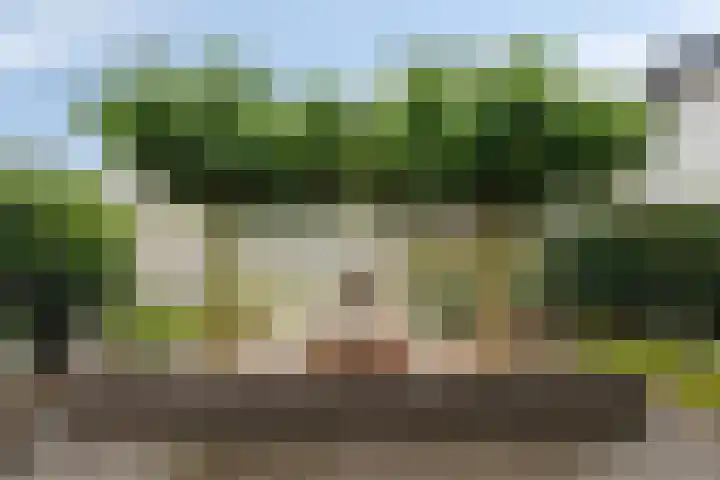 Bergslandstraat 16 Asten thumbnail 36