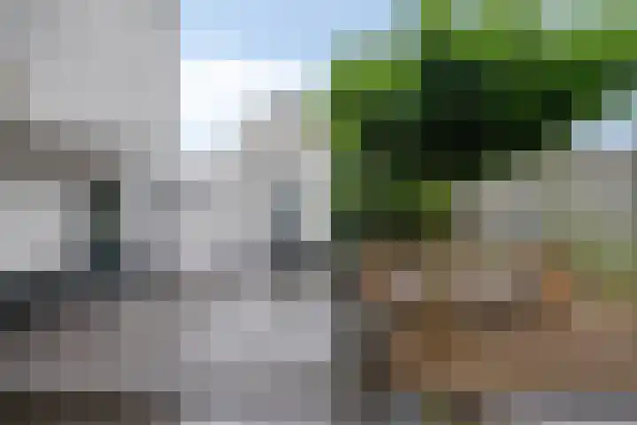 Bergslandstraat 16 Asten thumbnail 37