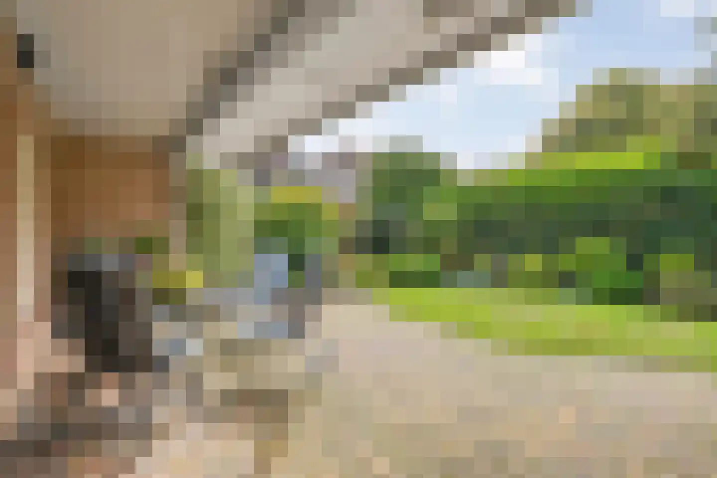 Bergsteinlaan 104 Tuk thumbnail 36