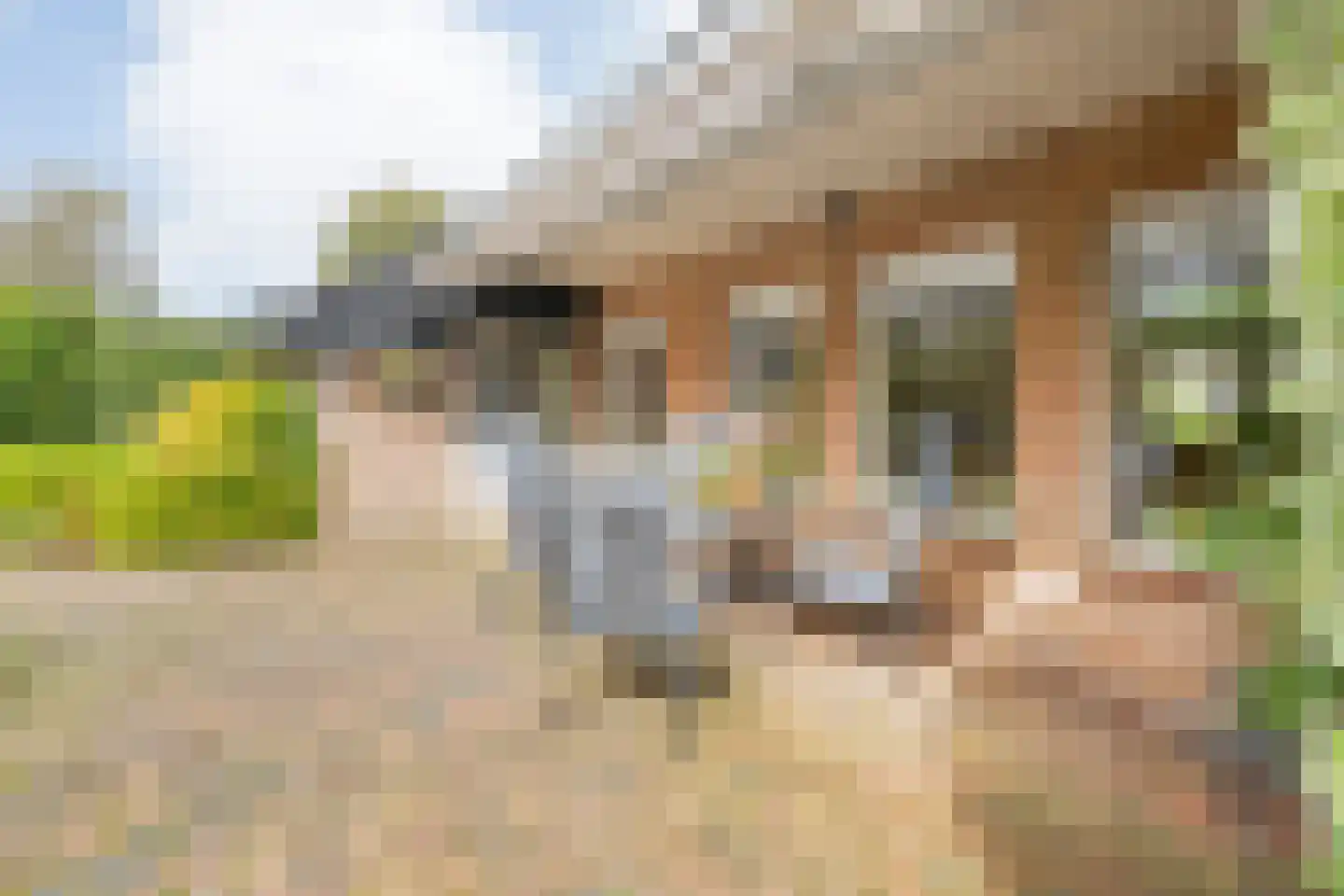 Bergsteinlaan 104 Tuk thumbnail 37