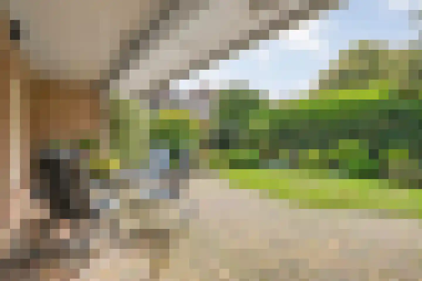Bergsteinlaan 104 Tuk thumbnail 4