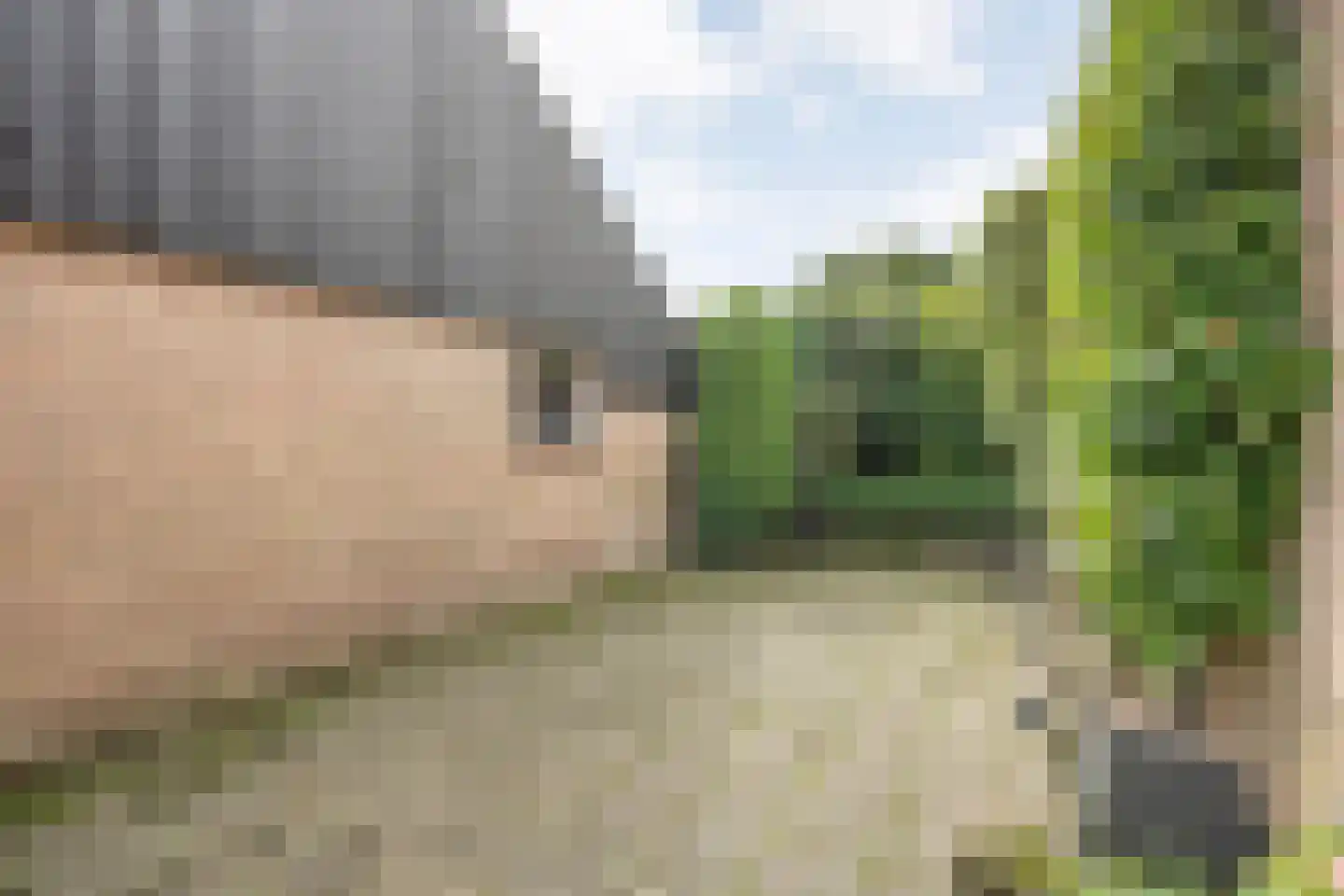 Bergsteinlaan 104 Tuk thumbnail 41
