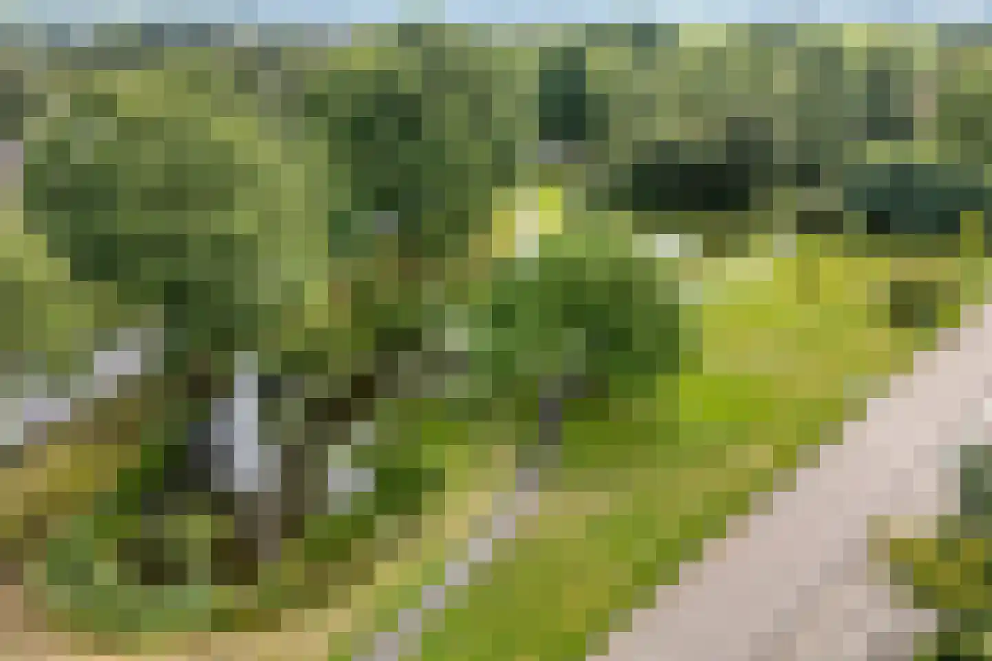 Bergsteinlaan 104 Tuk thumbnail 44
