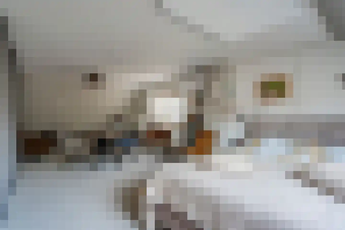 Bergsteinlaan 112 Tuk thumbnail 24