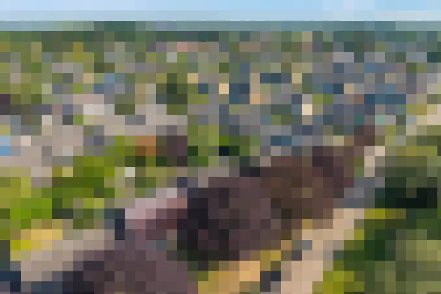 Bergsteinlaan 112 Tuk thumbnail 43