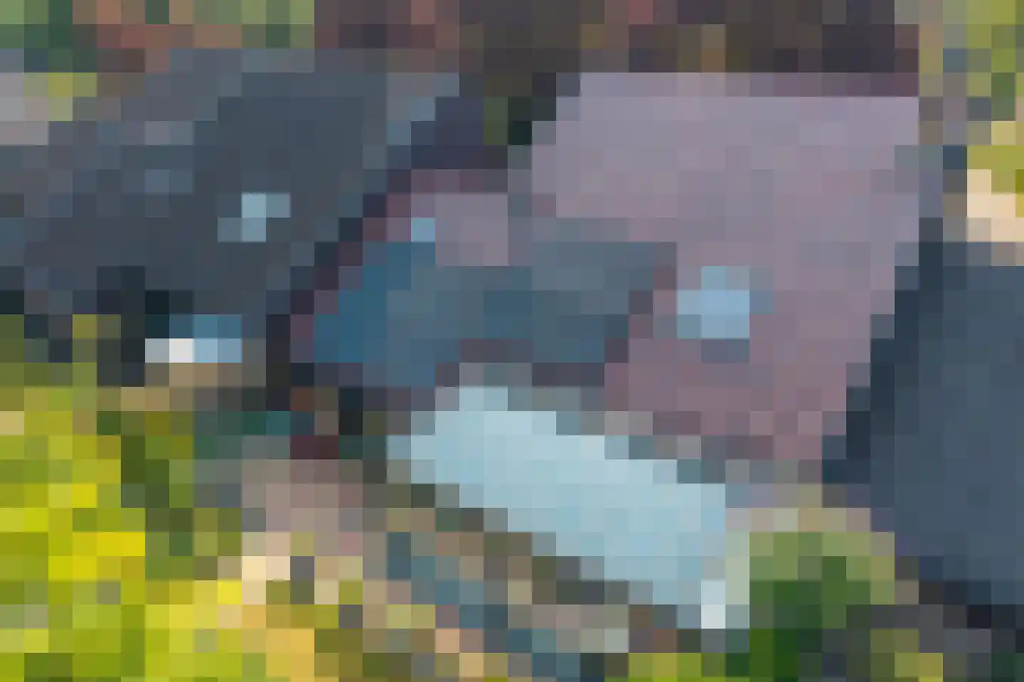 Bergsteinlaan 112 Tuk thumbnail 45