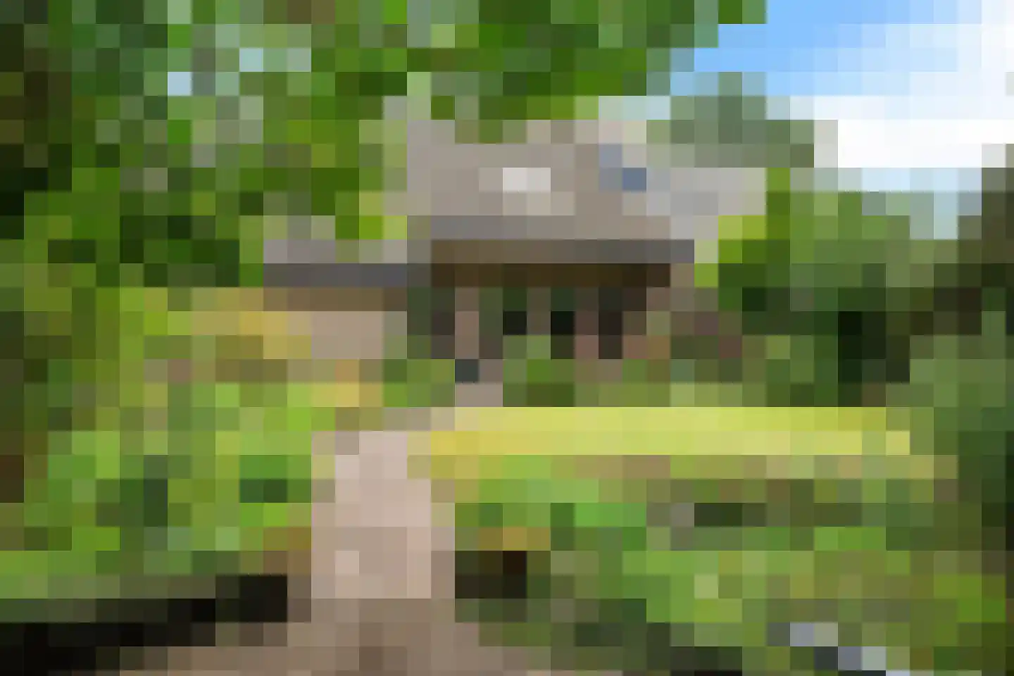 Bergsteinlaan 114 Tuk thumbnail 35