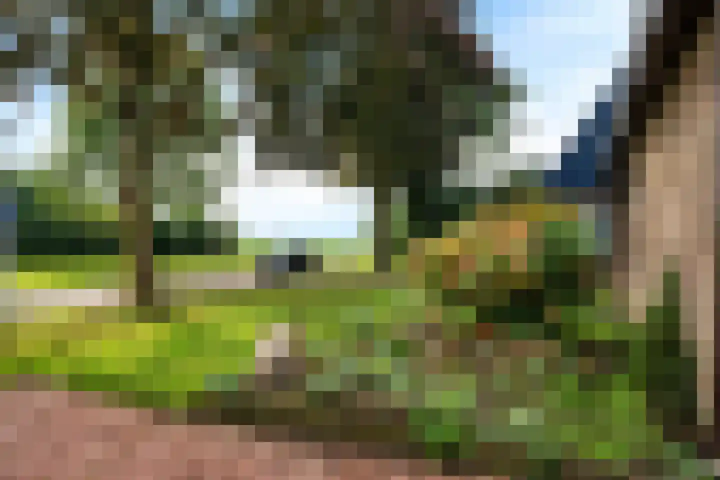 Bergsteinlaan 114 Tuk thumbnail 36