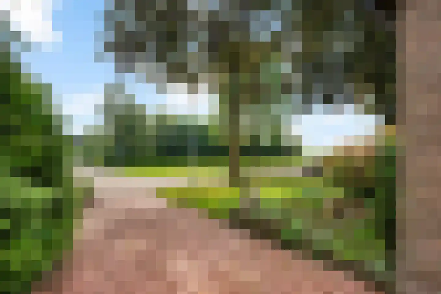 Bergsteinlaan 114 Tuk thumbnail 37