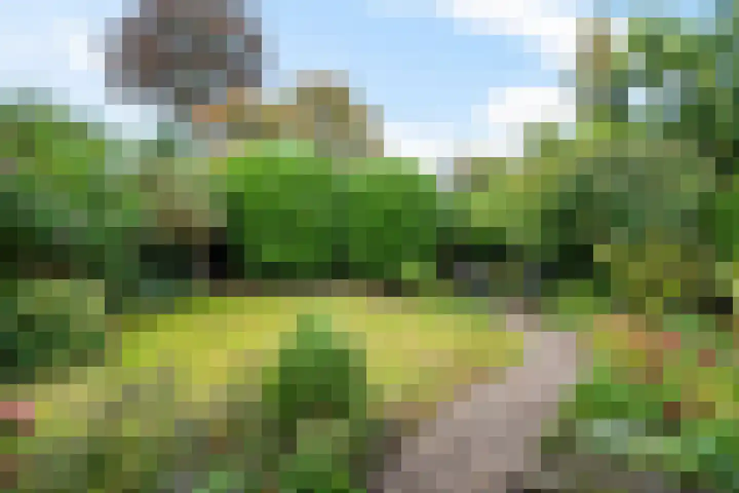 Bergsteinlaan 114 Tuk thumbnail 41