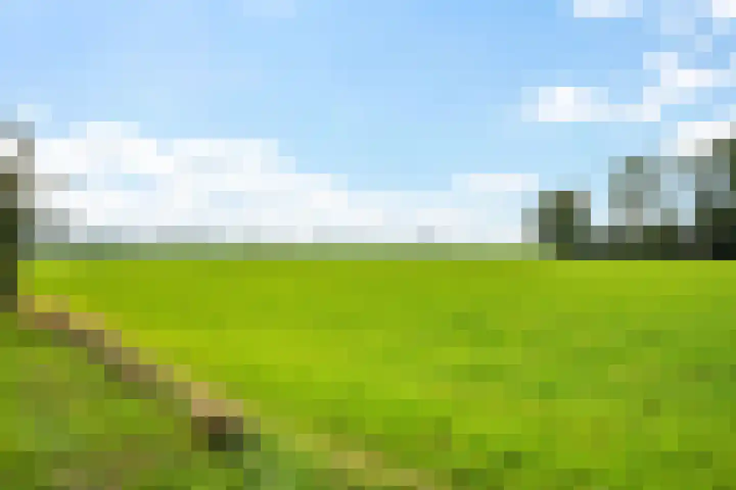 Bergsteinlaan 114 Tuk thumbnail 42