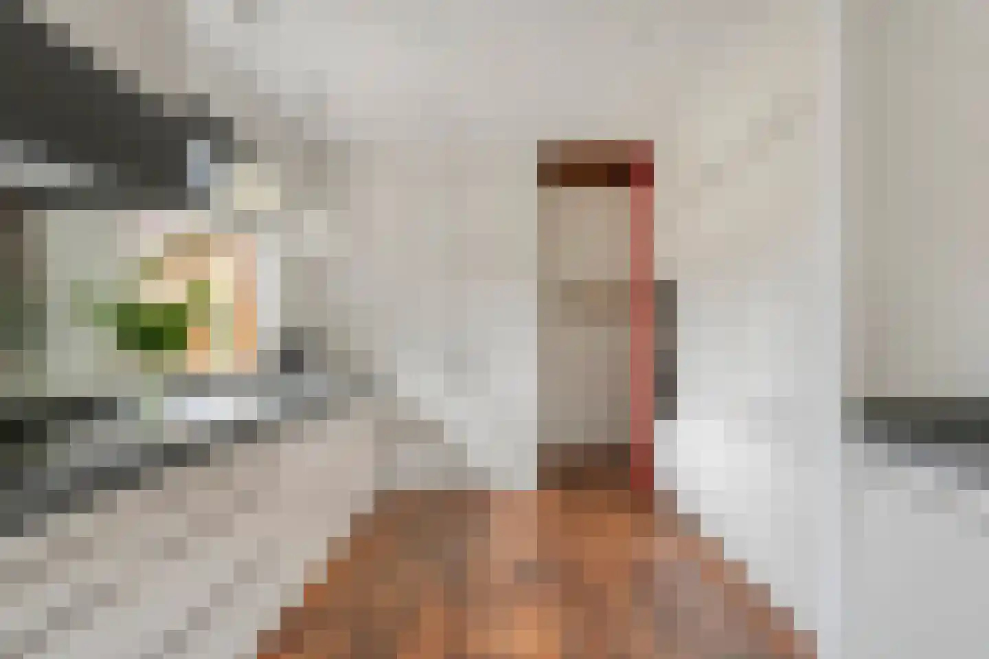 Bergsteinlaan 36 Tuk thumbnail 13