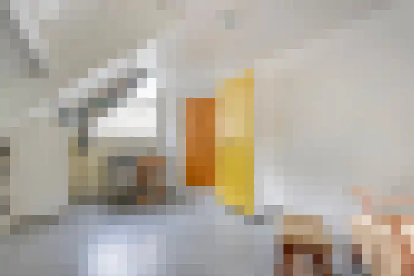 Bergsteinlaan 36 Tuk thumbnail 29