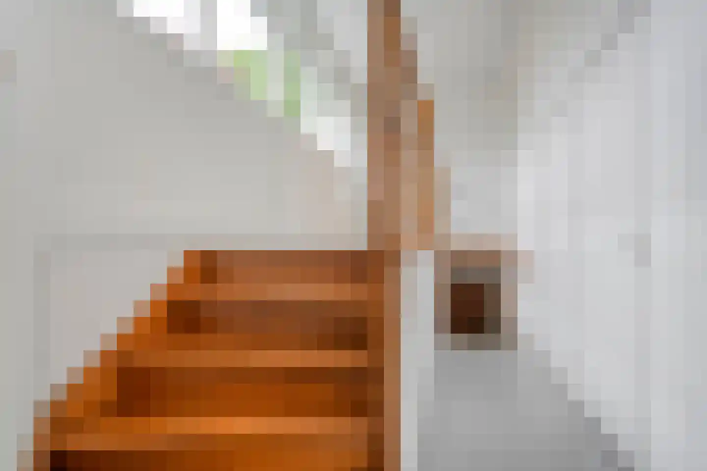 Bergsteinlaan 36 Tuk thumbnail 30