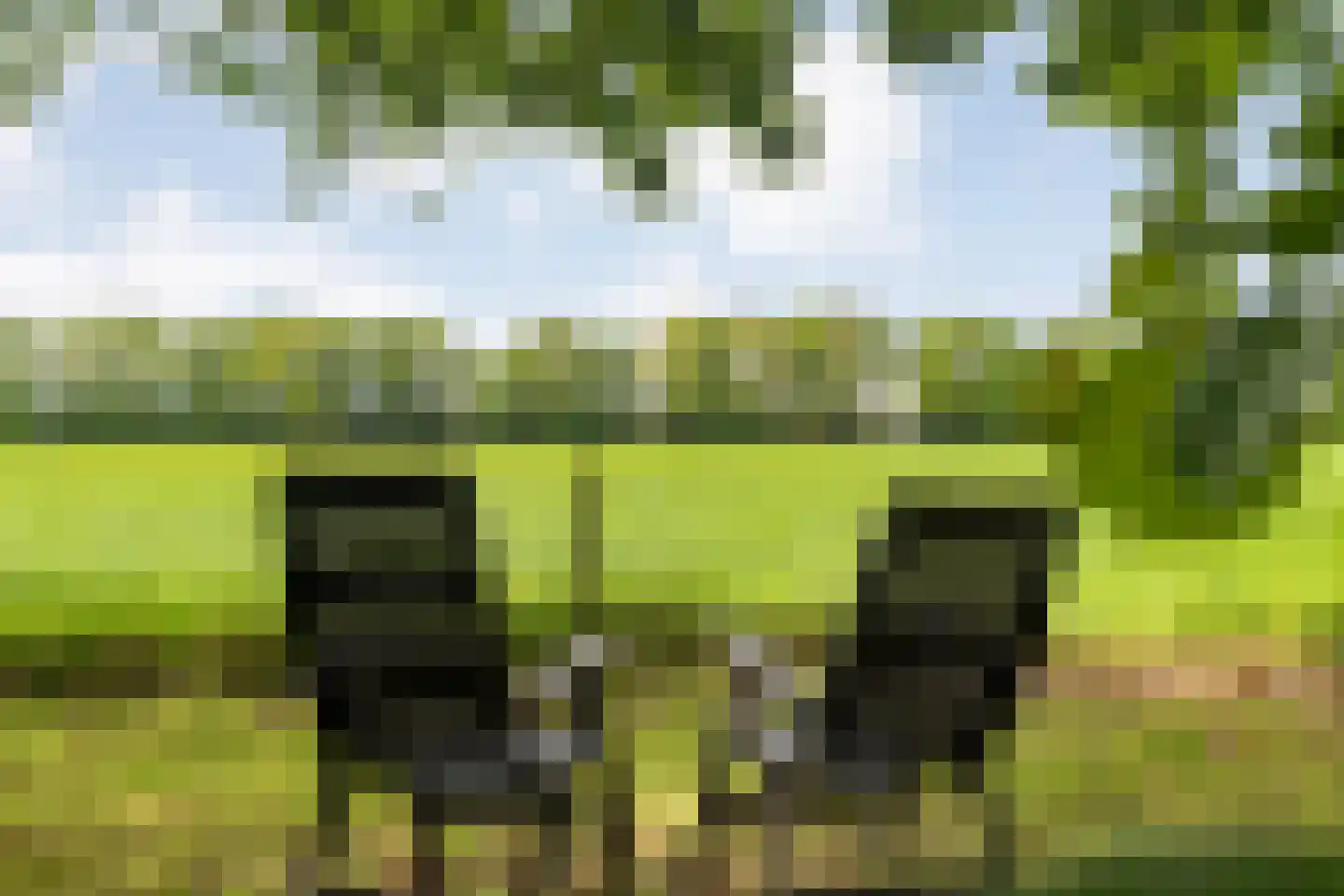 Bergsteinlaan 36 Tuk thumbnail 36