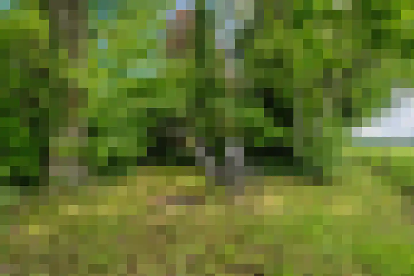 Bergsteinlaan 36 Tuk thumbnail 37