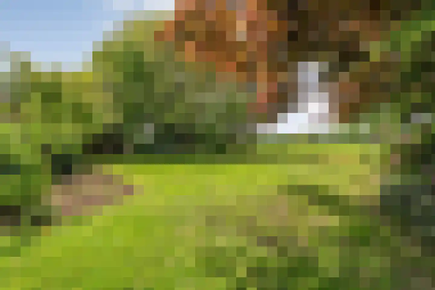 Bergsteinlaan 36 Tuk thumbnail 39