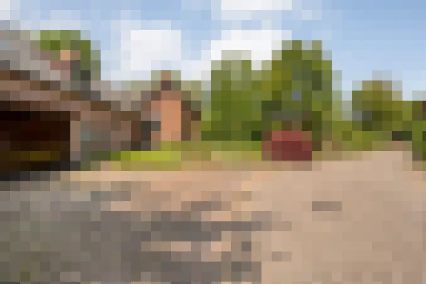 Bergsteinlaan 36 Tuk thumbnail 41