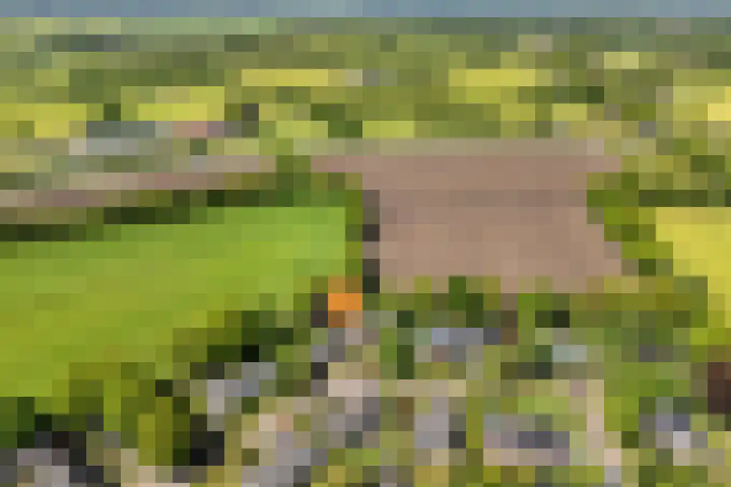 Bergsteinlaan 36 Tuk thumbnail 44