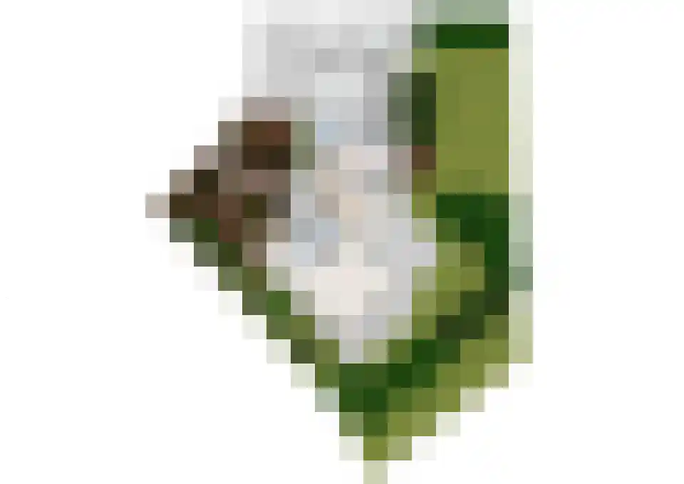 Bergsteinlaan 36 Tuk thumbnail 47