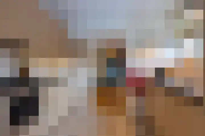 Bergsteinlaan 48 Tuk thumbnail 18