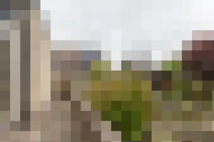 Bergsteinlaan 48 Tuk thumbnail 39