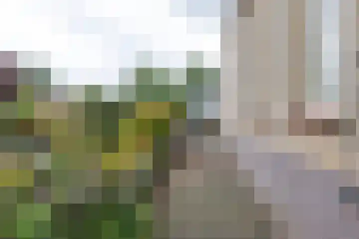 Bergsteinlaan 48 Tuk thumbnail 40