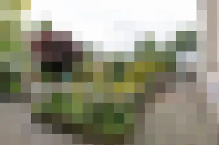 Bergsteinlaan 48 Tuk thumbnail 41