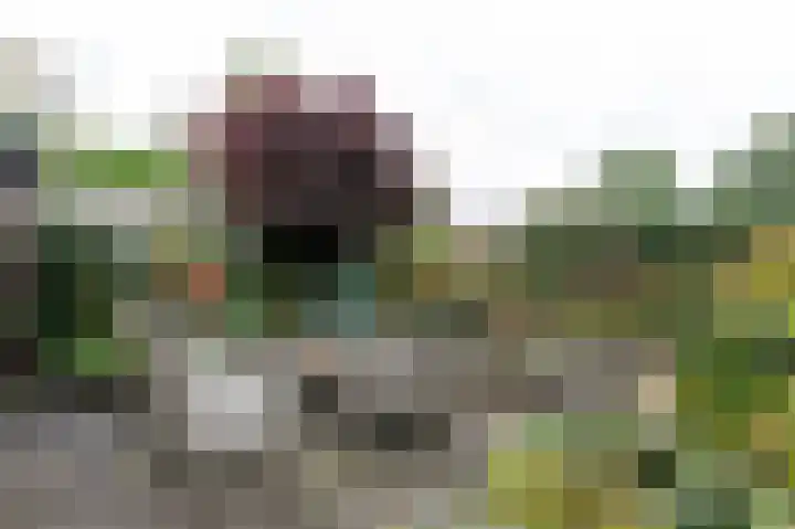 Bergsteinlaan 48 Tuk thumbnail 42