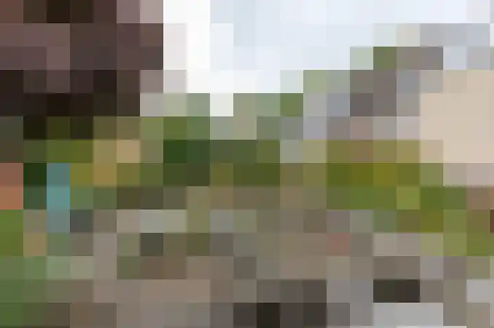 Bergsteinlaan 48 Tuk thumbnail 43