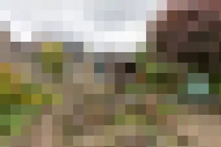 Bergsteinlaan 48 Tuk thumbnail 44