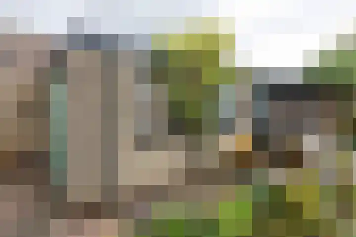 Bergsteinlaan 48 Tuk thumbnail 45