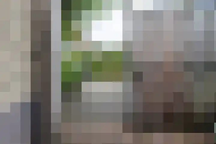 Bergsteinlaan 48 Tuk thumbnail 47