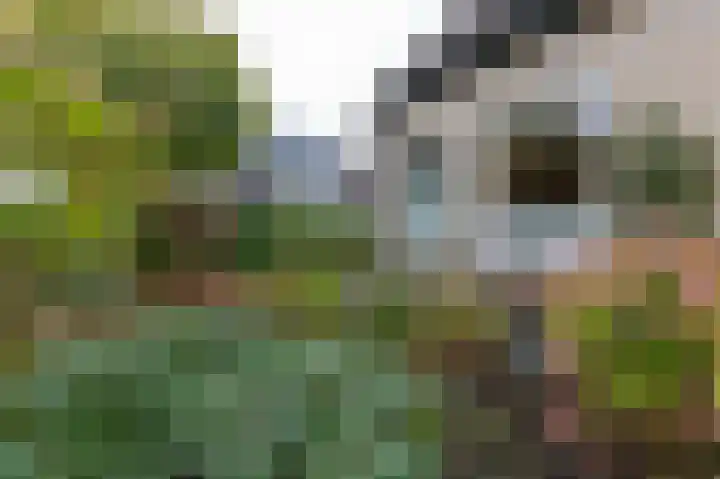 Bergsteinlaan 48 Tuk thumbnail 49